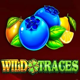 Play Wild Traces slot by Amusnet Interactive on roostino-casino.eu